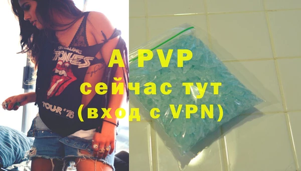 PSILOCYBIN Белокуриха
