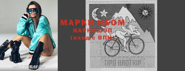 PSILOCYBIN Белокуриха