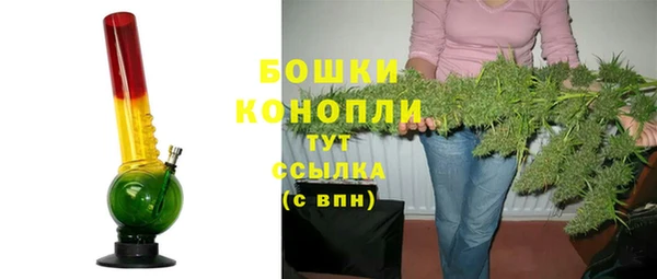 PSILOCYBIN Белокуриха