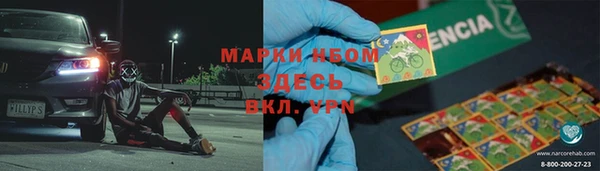 PSILOCYBIN Белокуриха