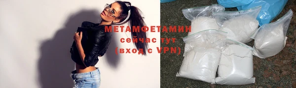 PSILOCYBIN Белокуриха