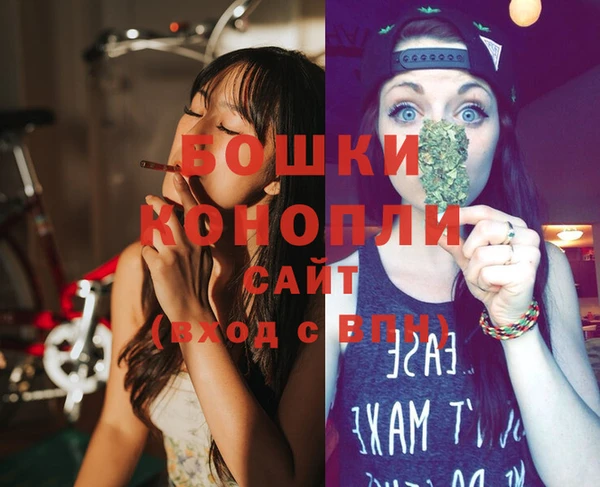 PSILOCYBIN Белокуриха