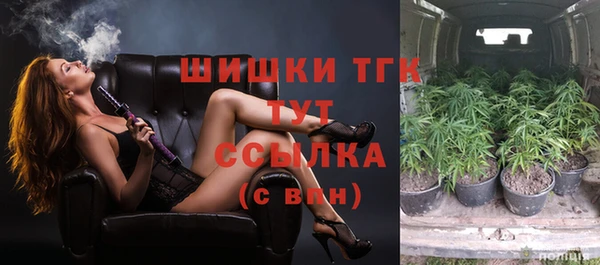 PSILOCYBIN Белокуриха