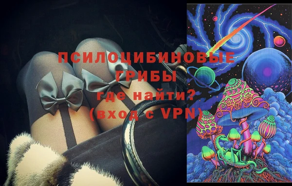 PSILOCYBIN Белокуриха