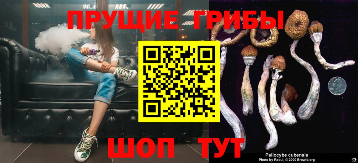Псилоцибиновые грибы прущие грибы Гусев