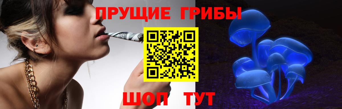 Псилоцибиновые грибы мицелий  Вход с VPN  Гусев 