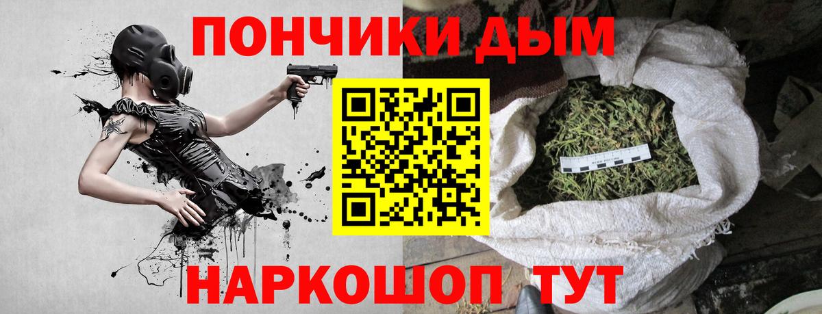 Конопля сатива Гусев